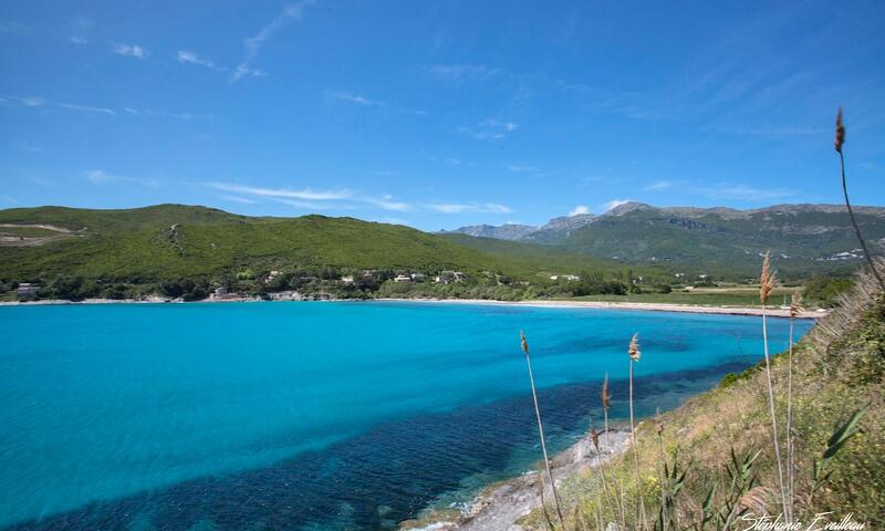 Appartements à Erbalunga - Corse - - Erbalunga - Corse - 24