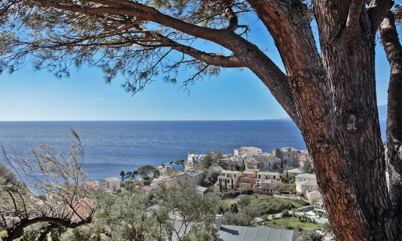 Maison à Erbalunga - Corse - - Erbalunga - Corse - 4