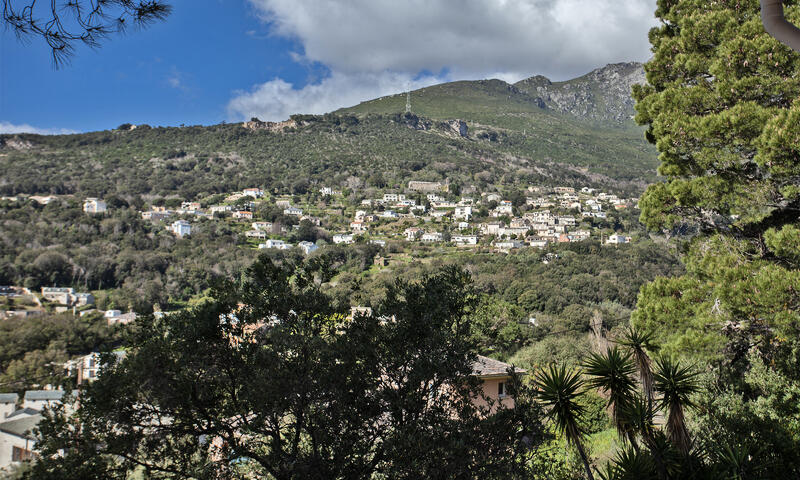Maison à Erbalunga - Corse - - Erbalunga - Corse - 48