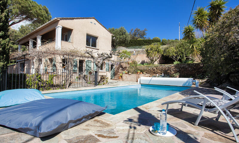 Maison à Erbalunga - Corse - - Erbalunga - Corse - 5