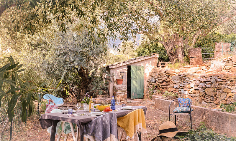 Maison à Erbalunga - Corse - - Erbalunga - Corse - 3