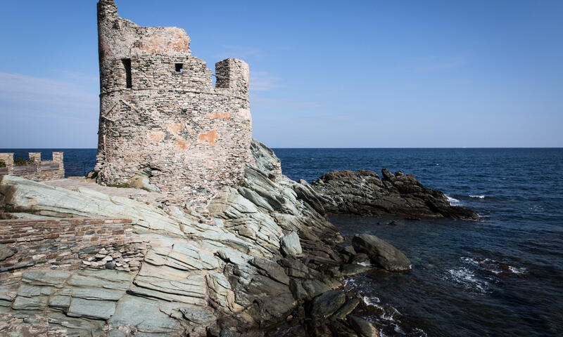 Maison à Erbalunga - Corse - - Erbalunga - Corse - 2