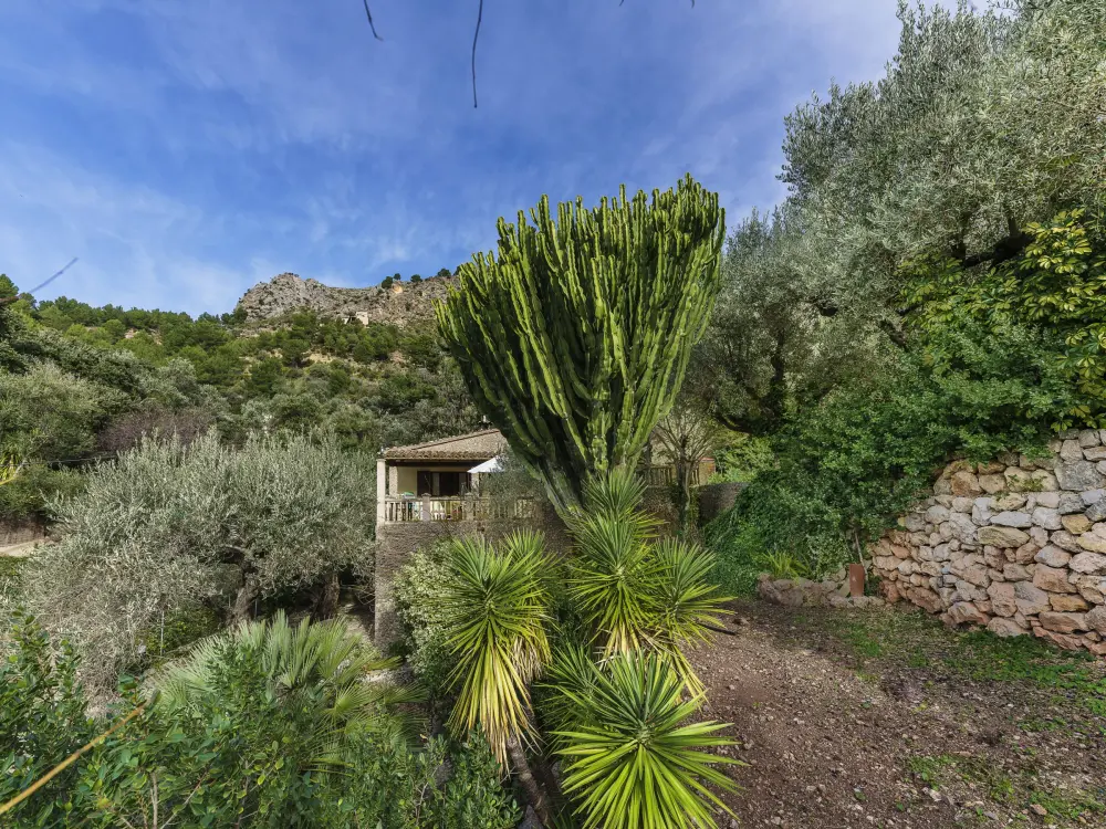 Maison de Vacances Escorca 8