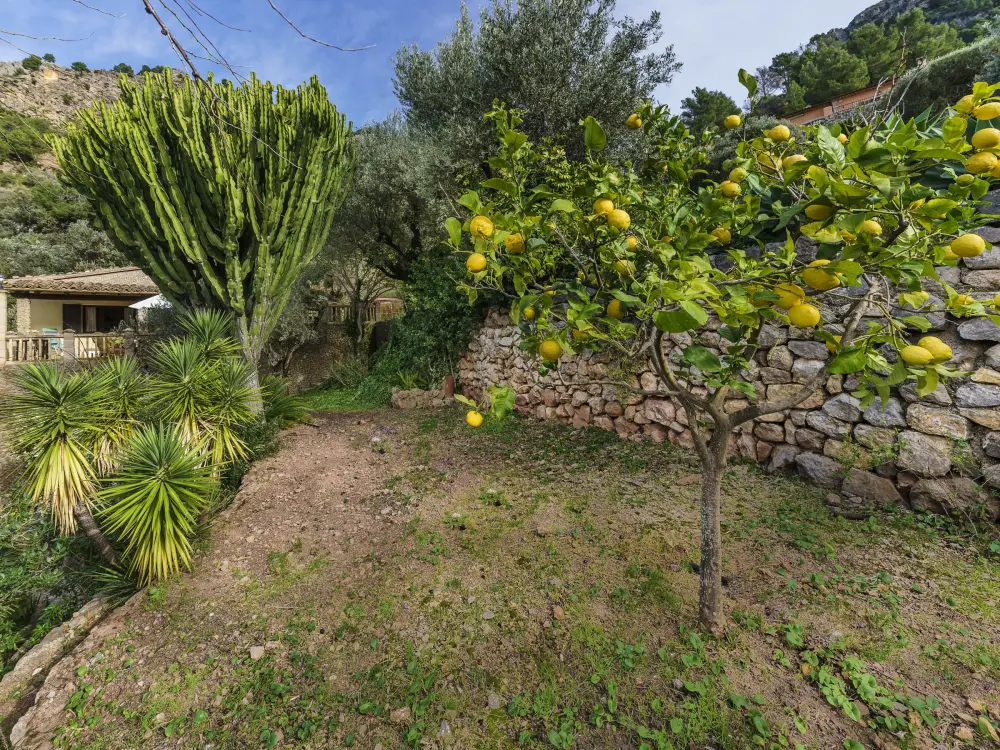 Maison de Vacances Escorca 8