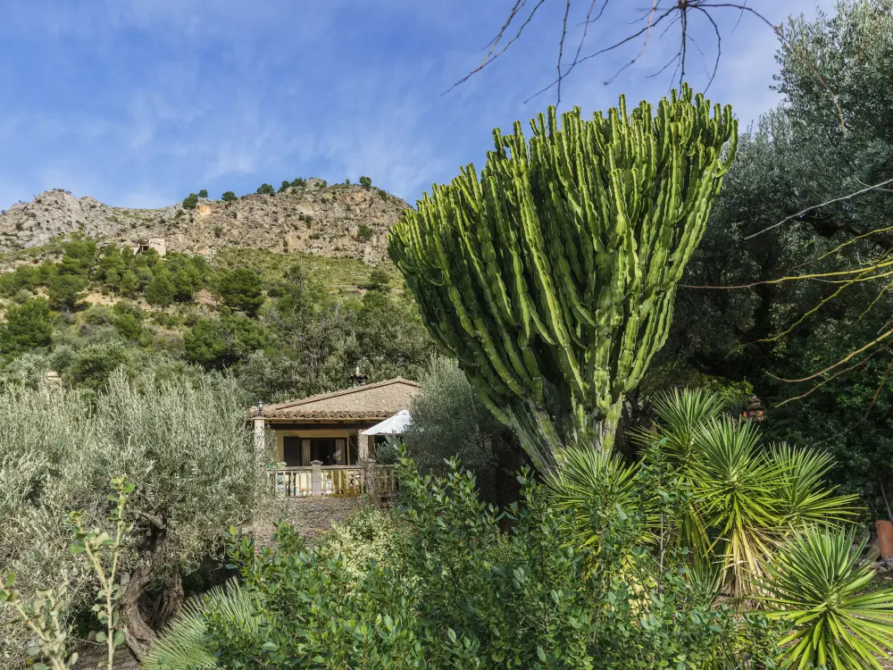 Maison de Vacances Escorca 8