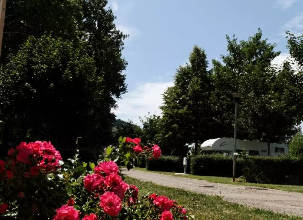 Camping ROC DE L'ARCHE