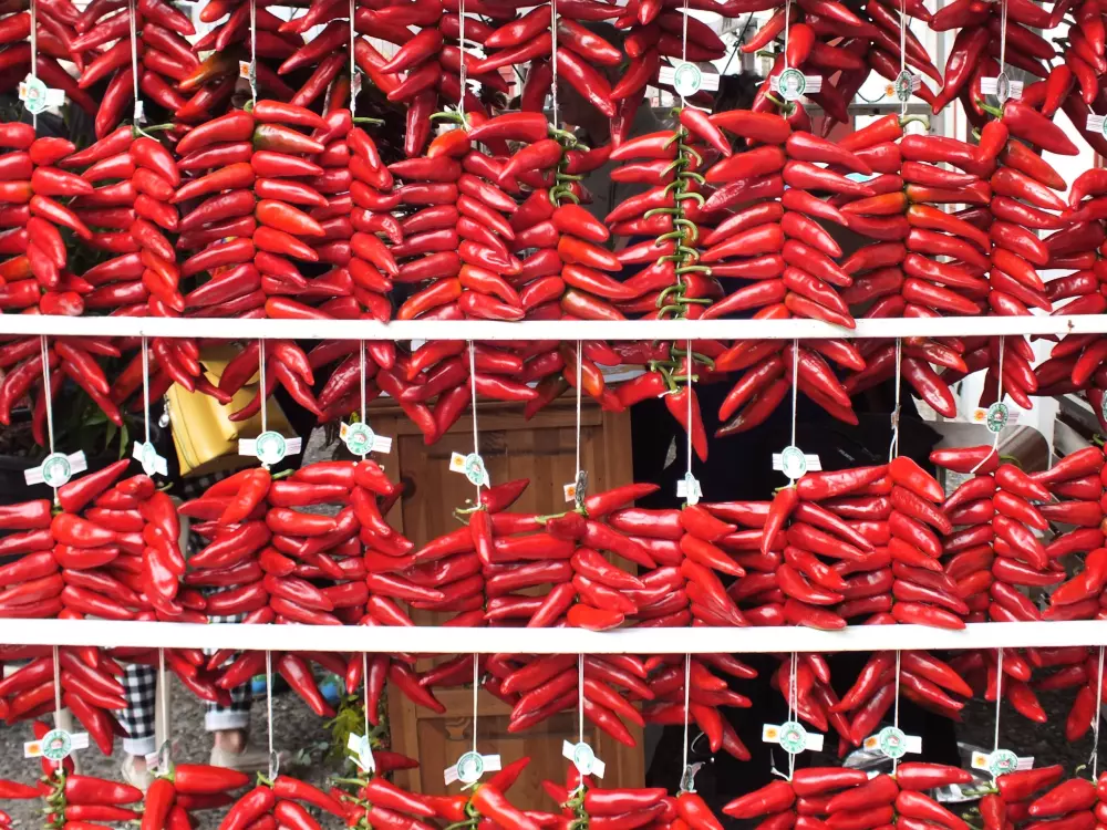 Camping Biper Gorri By TLC Vacances 4 étoiles★★★★