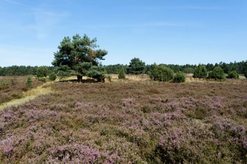 Camping Aller-Leine-Tal