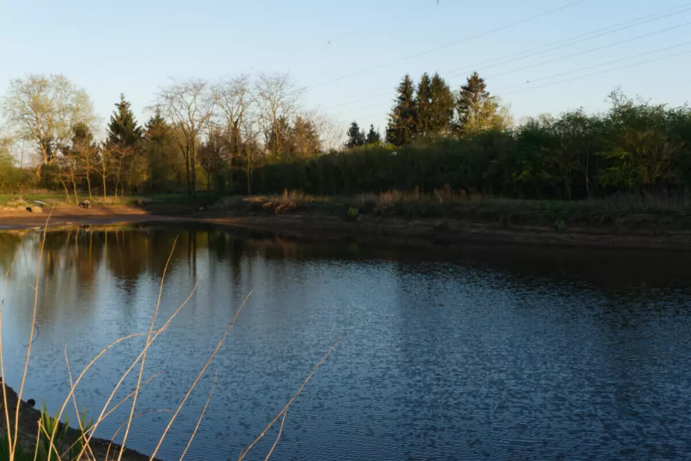 Camping Aller-Leine-Tal