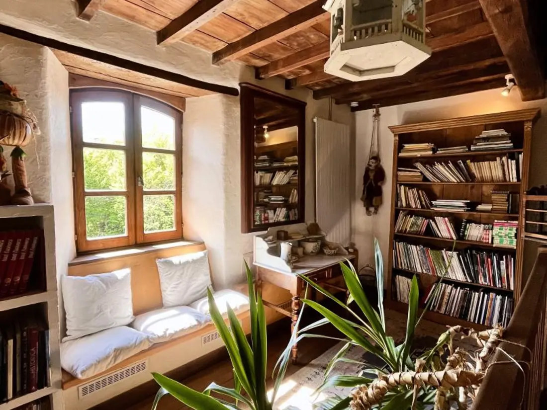 Maison de Vacances Essertines-en-Donzy 2
