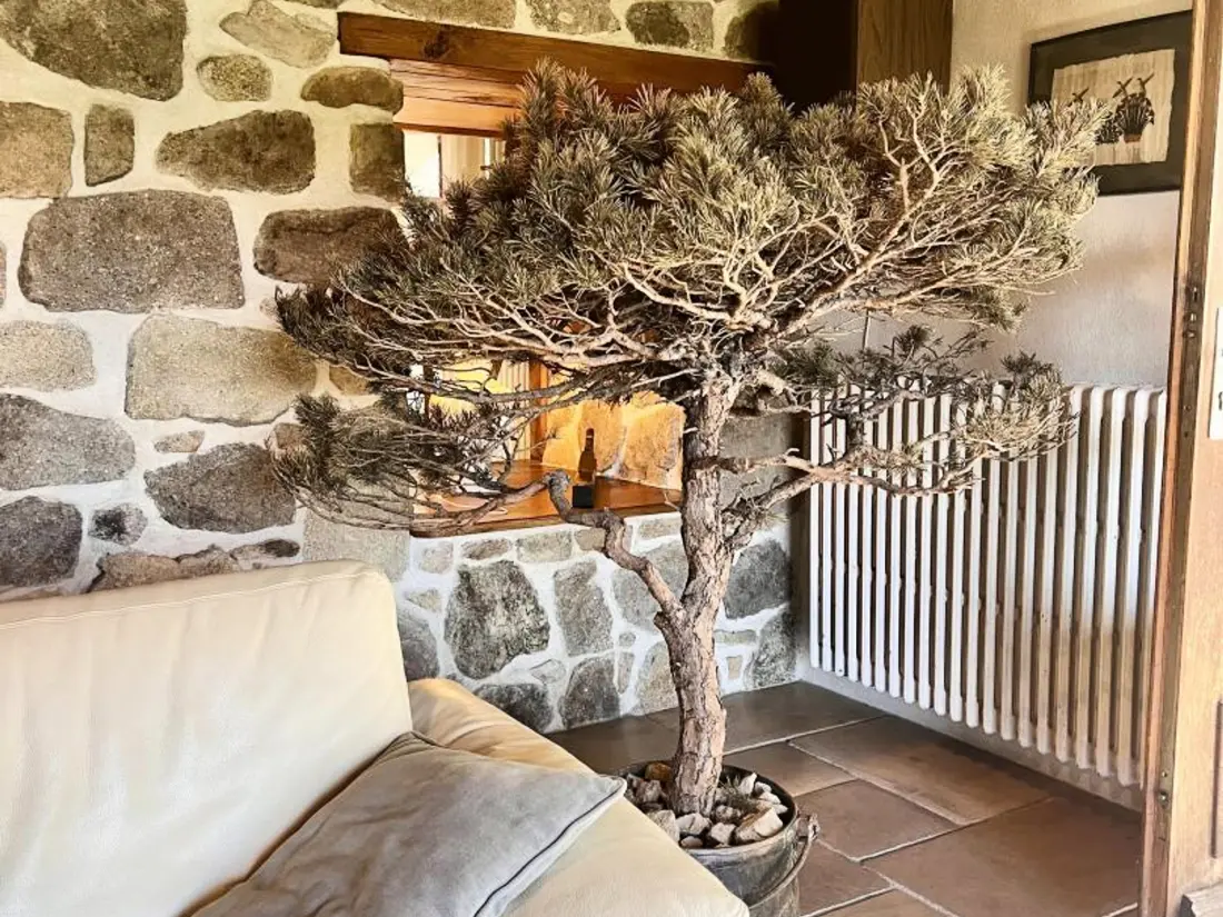 Maison de Vacances Essertines-en-Donzy 2