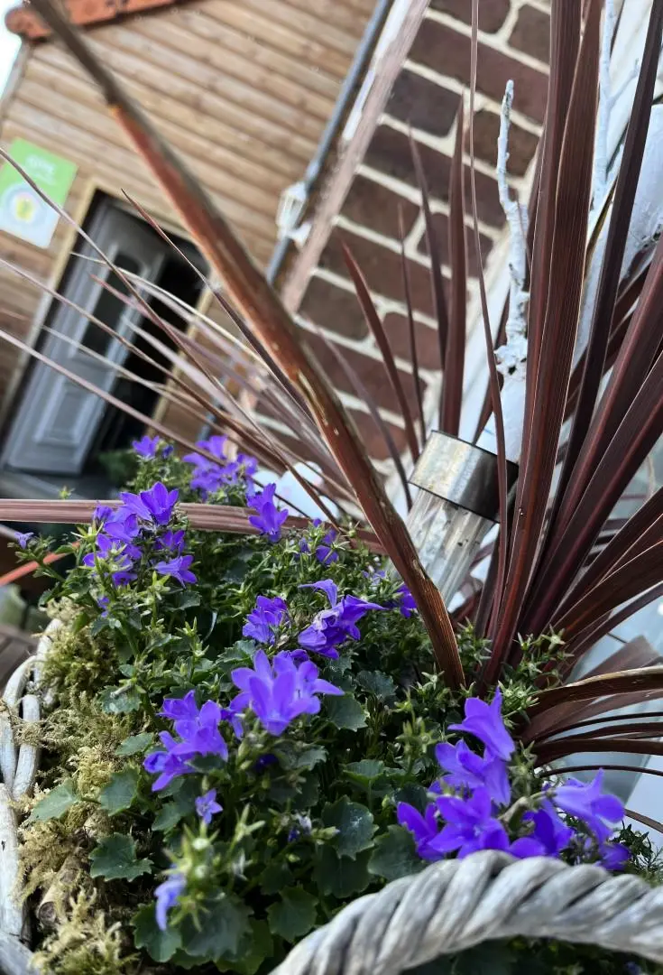Gîte de France Gîtes de france® - entre ciel et mer 3 épis