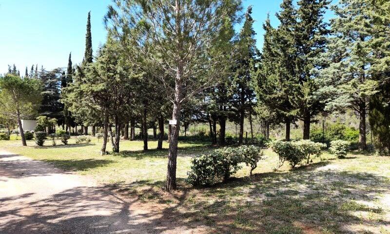 France - Languedoc - Fabrezan - Camping Le Pinada 3*