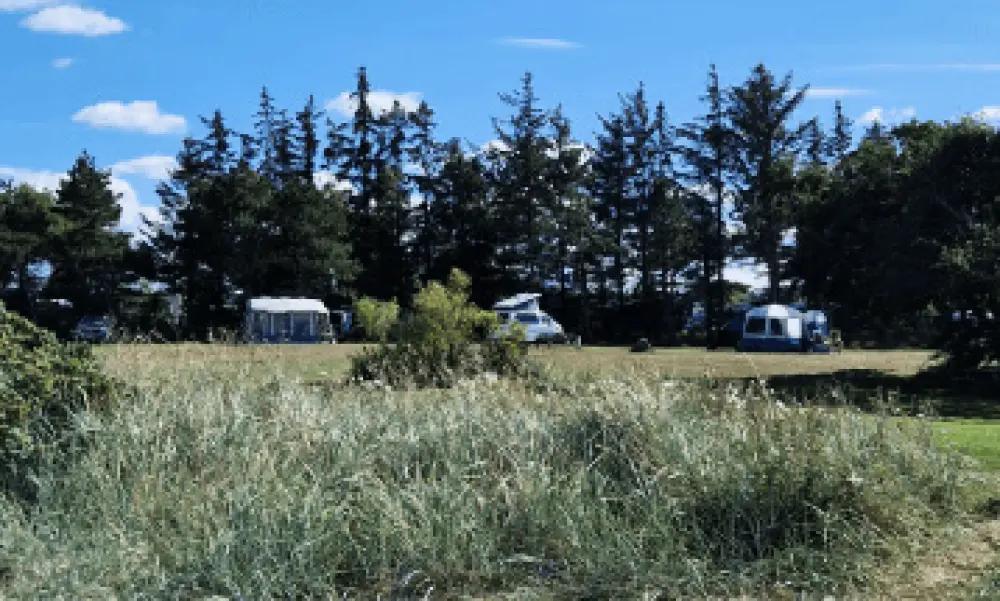 Hvalpsund Familie Camping 3 étoiles★★★