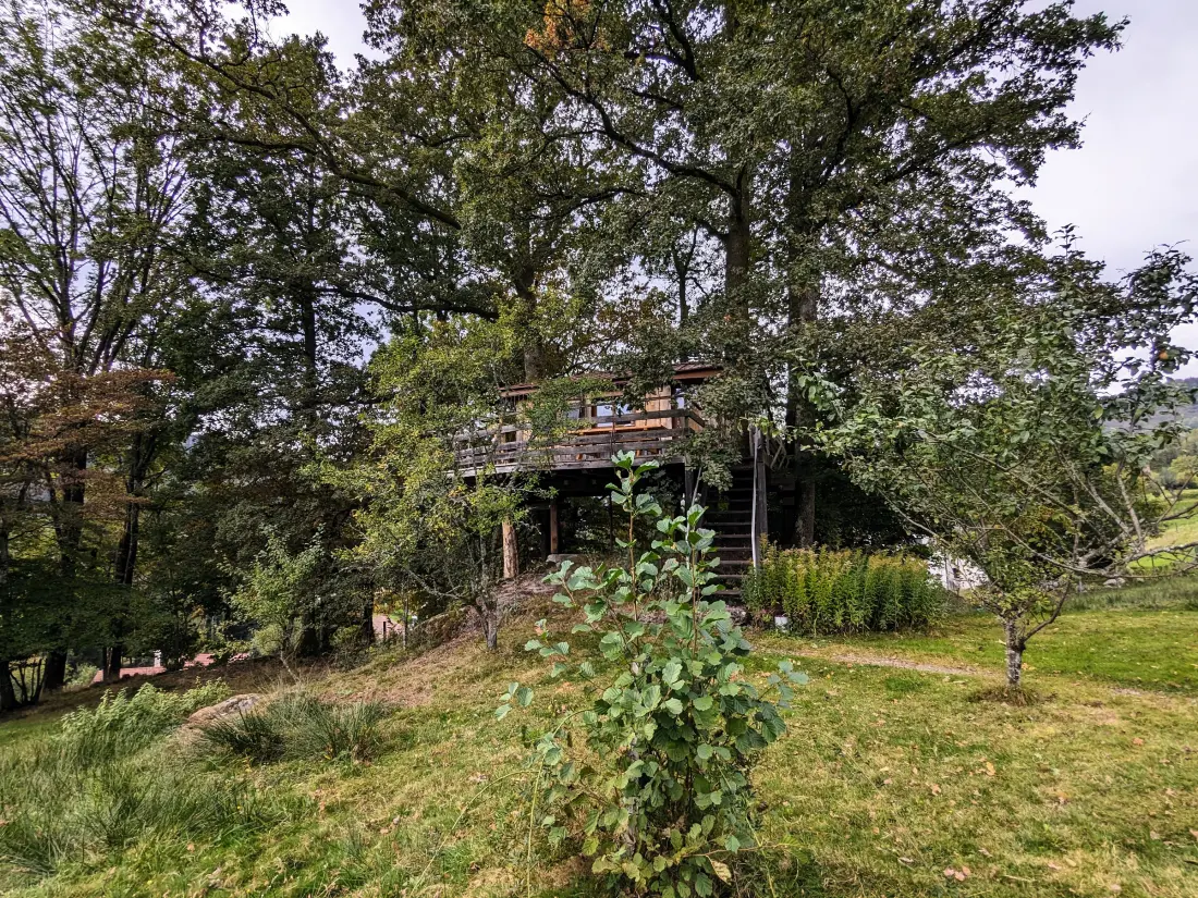 Maison de Vacances Ferdrupt 7