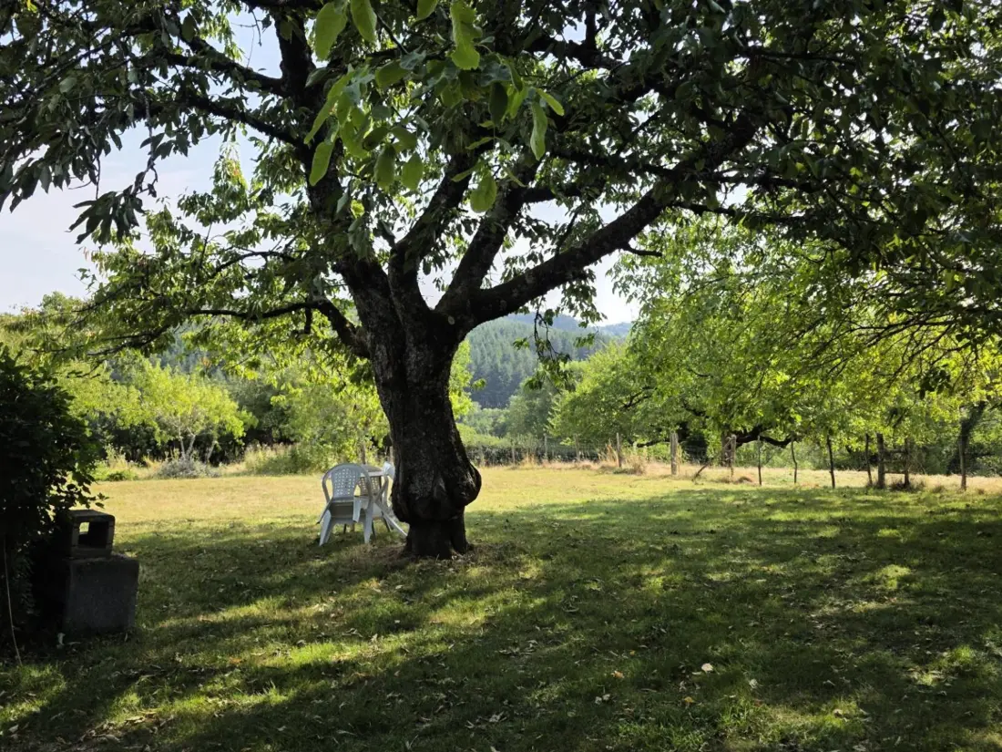 Maison de Vacances Ferrières-sur-Sichon 5
