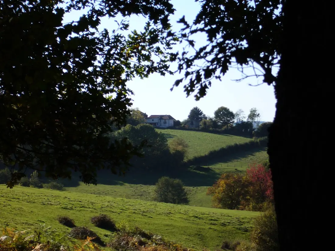 Maison de Vacances Ferrières-sur-Sichon 8