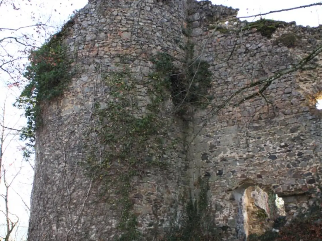 Maison de Vacances Ferrières-sur-Sichon 8