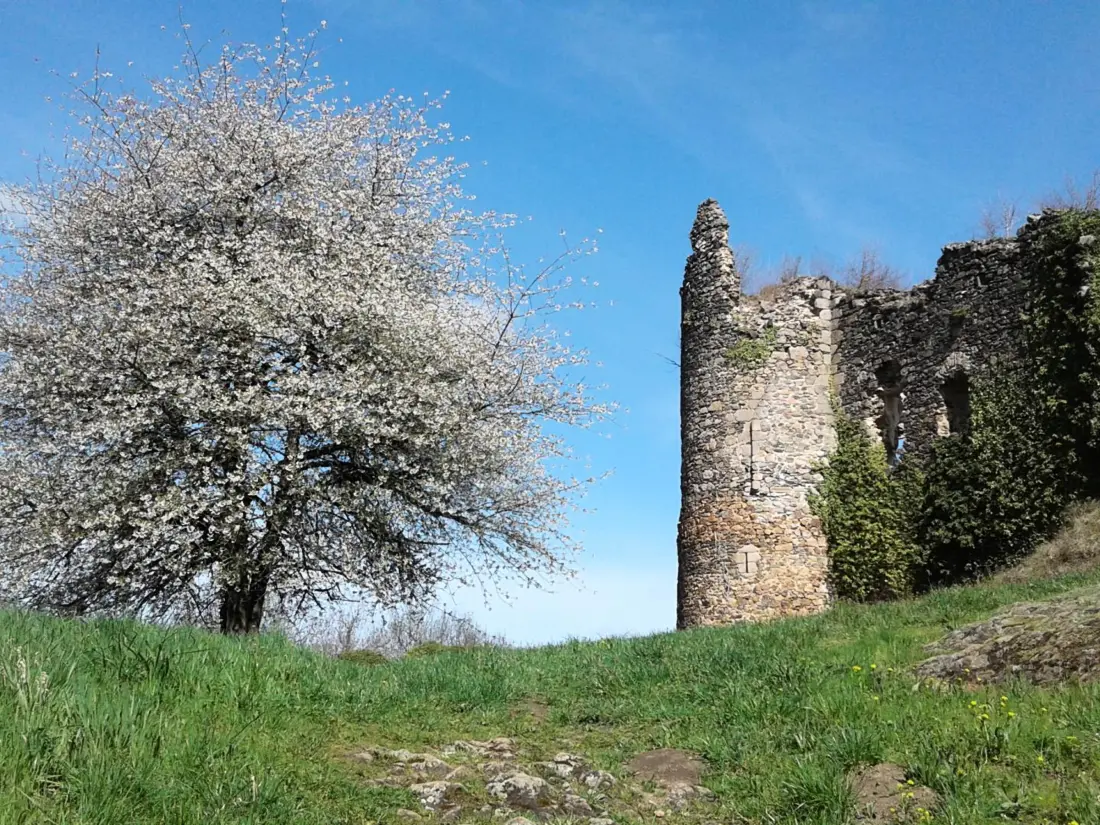 Maison de Vacances Ferrières-sur-Sichon 8