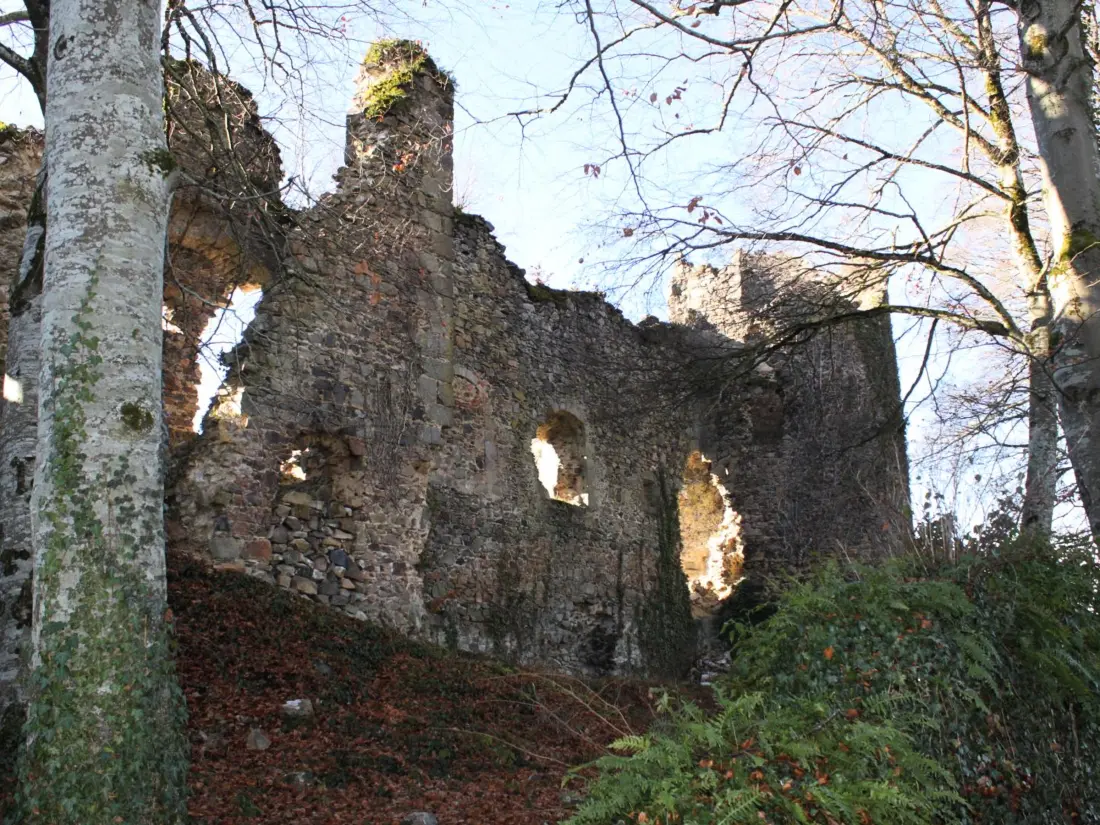 Maison de Vacances Ferrières-sur-Sichon 8