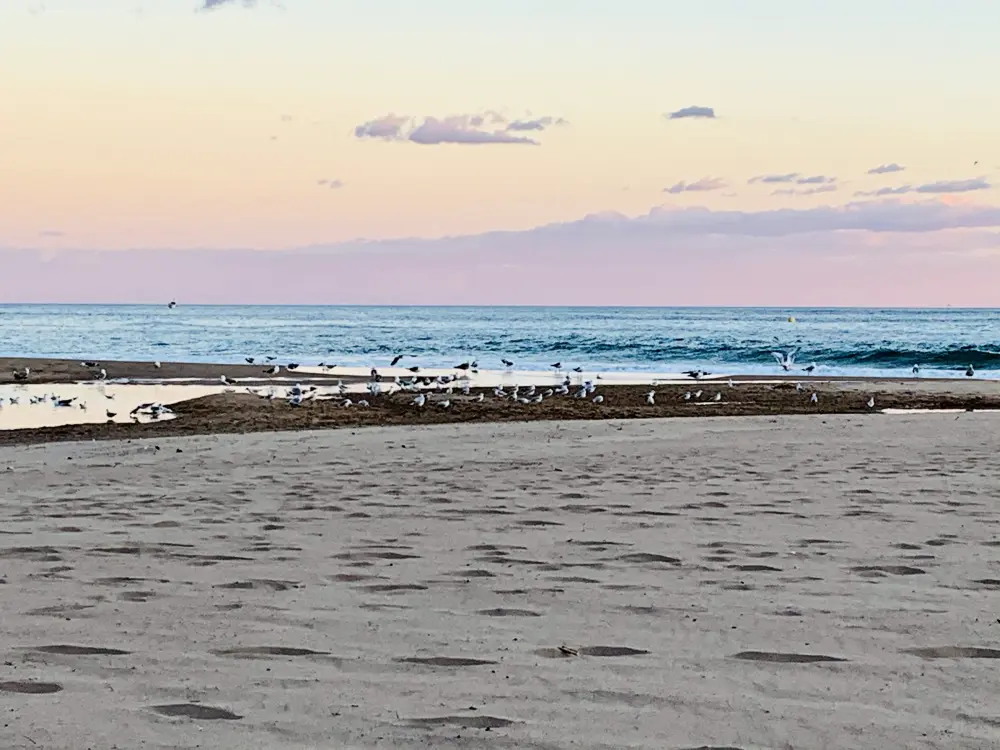 Location de Vacances Finestrat 22