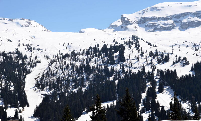 France - Alpes et Savoie - Flaine - Résidence Andromede