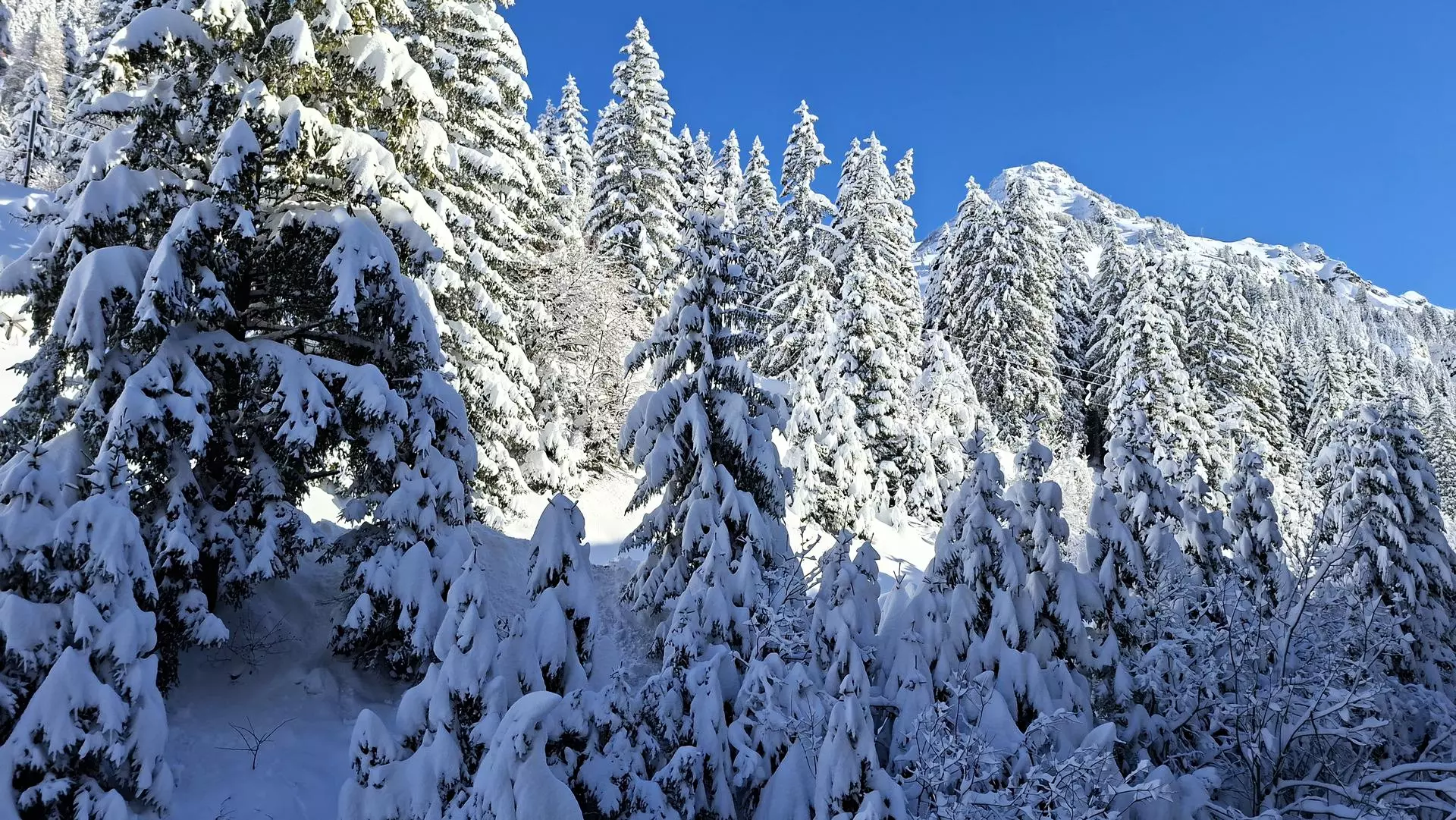 Residence De La Foret - Flaine - SKI - 20