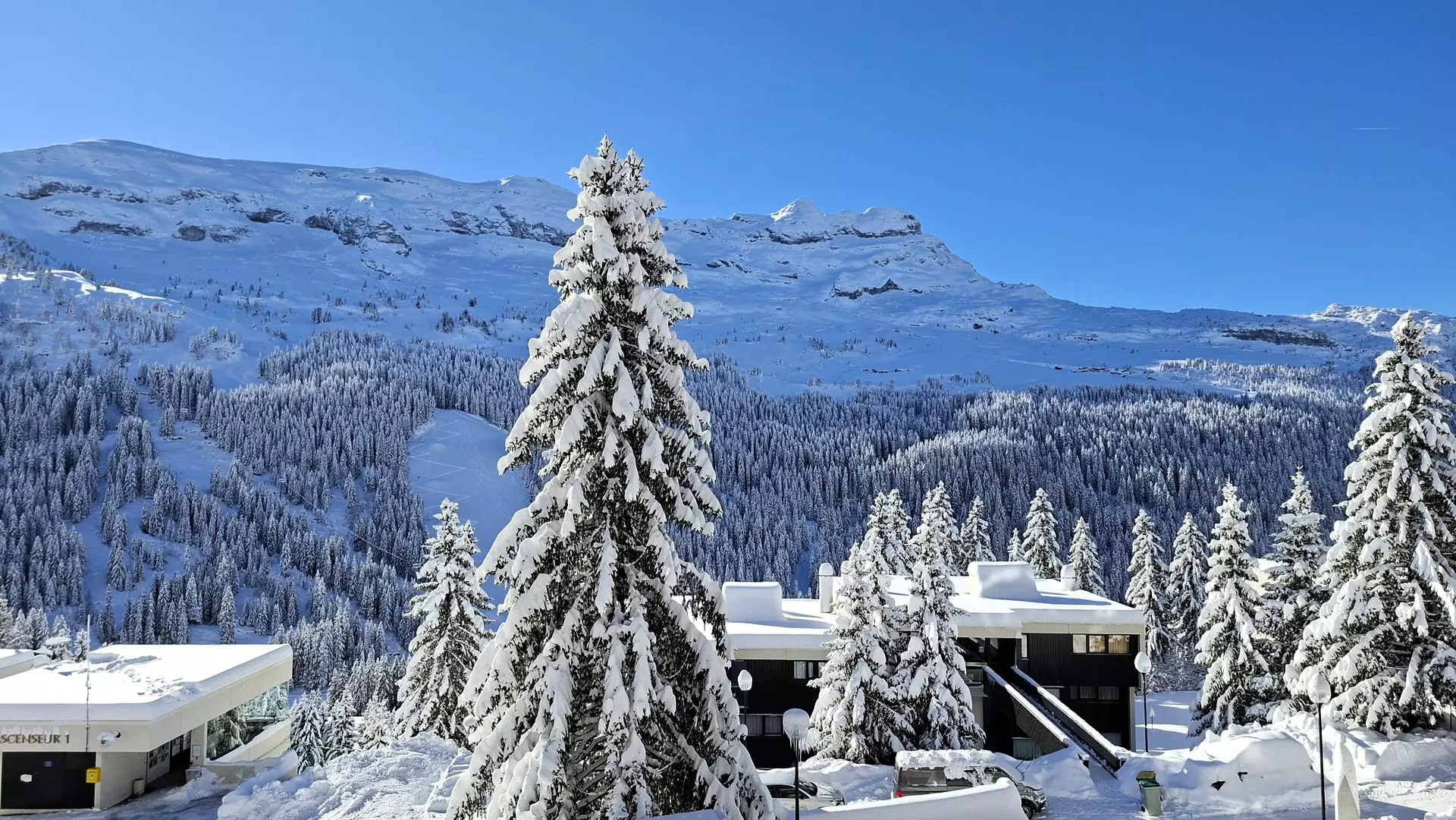 Residence De La Foret - Flaine - SKI - 33