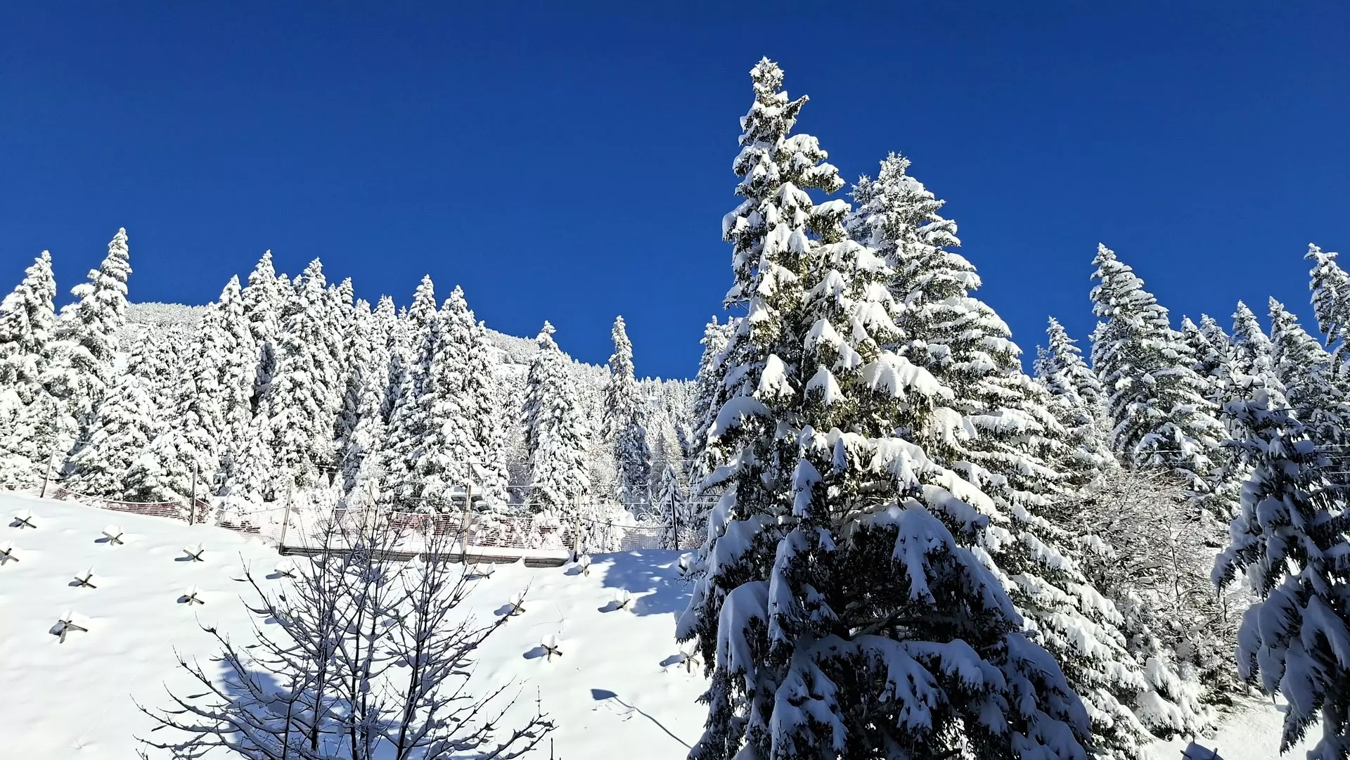 Residence De La Foret - Flaine - SKI - 21