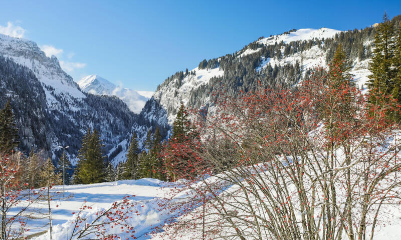 France - Alpes et Savoie - Flaine - Résidence Eridan - maeva Home