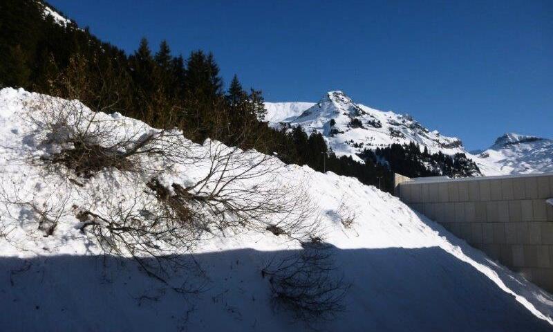 France - Alpes et Savoie - Flaine - Résidence La Petite Ourse