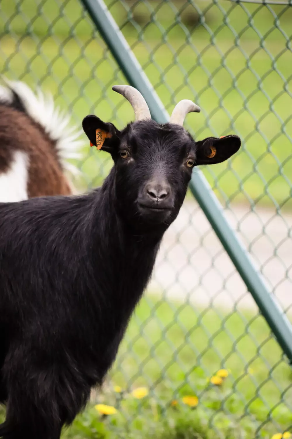 Camping Le Florenville 3 étoiles★★★