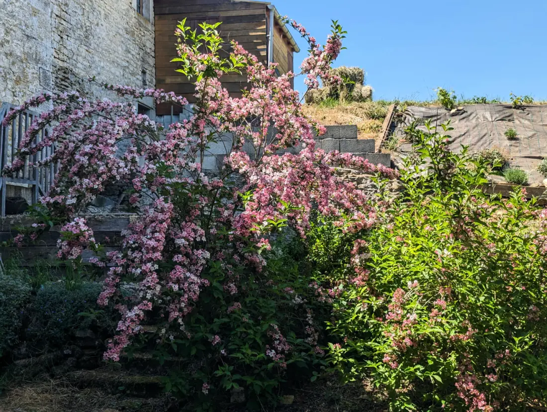 Gîte de France Le brillant 3 épis