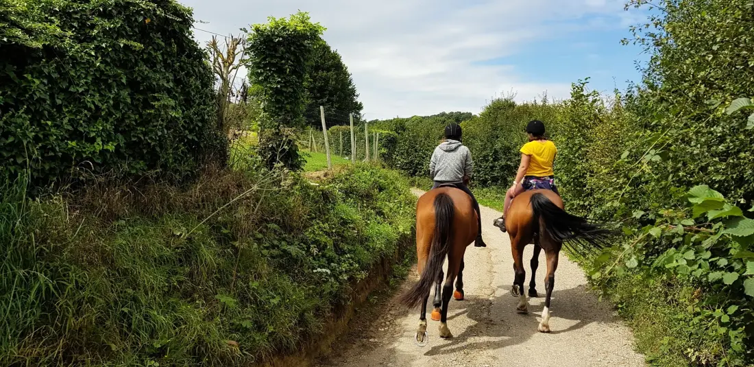 VVF Forges-Les-Eaux 3 étoiles★★★