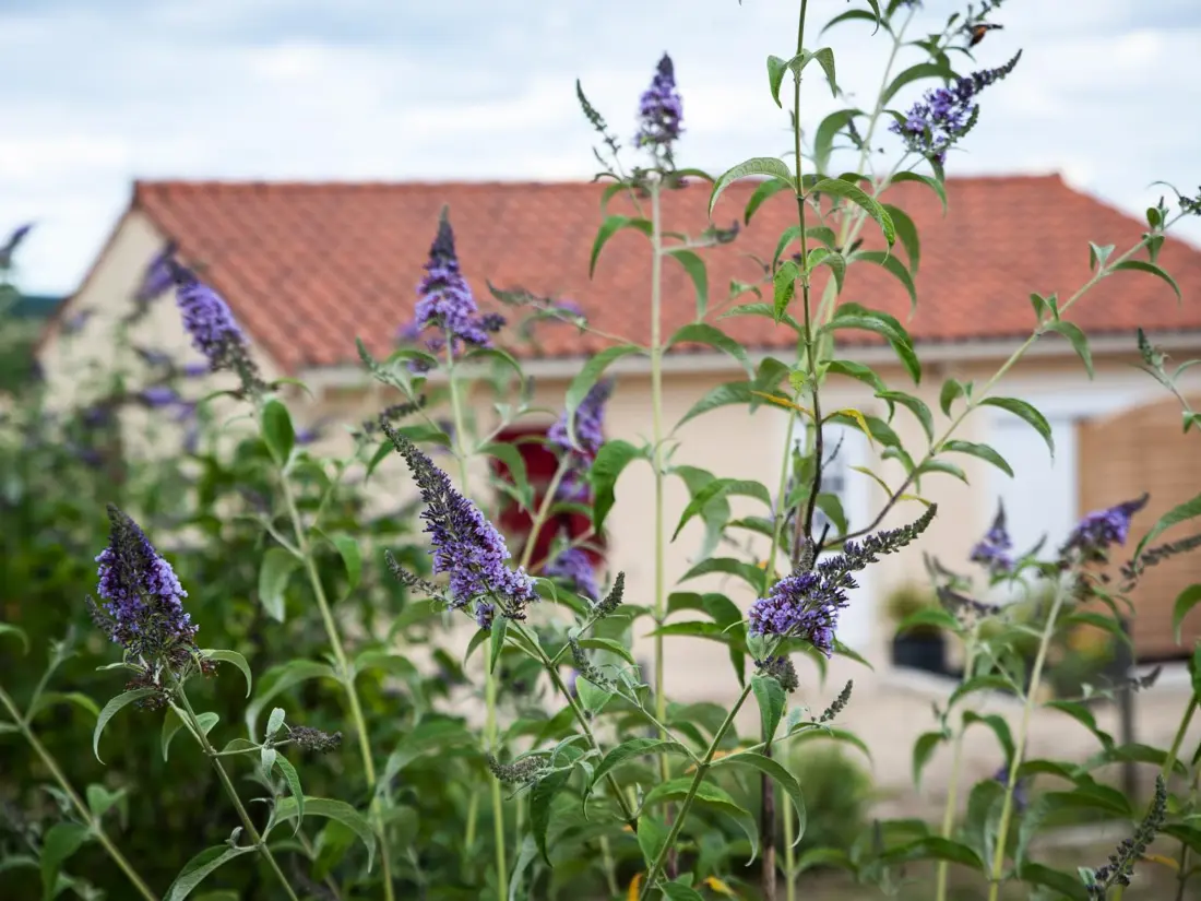 Maison de Vacances FOSSEMAGNE 2