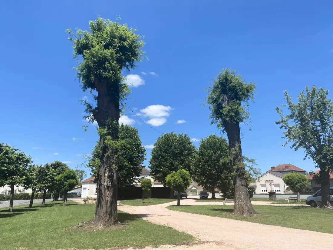 Maison de Vacances FOURILLES