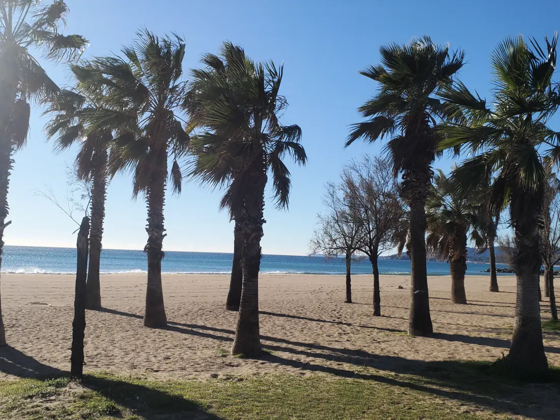 Appartements à Fréjus - Port Fréjus