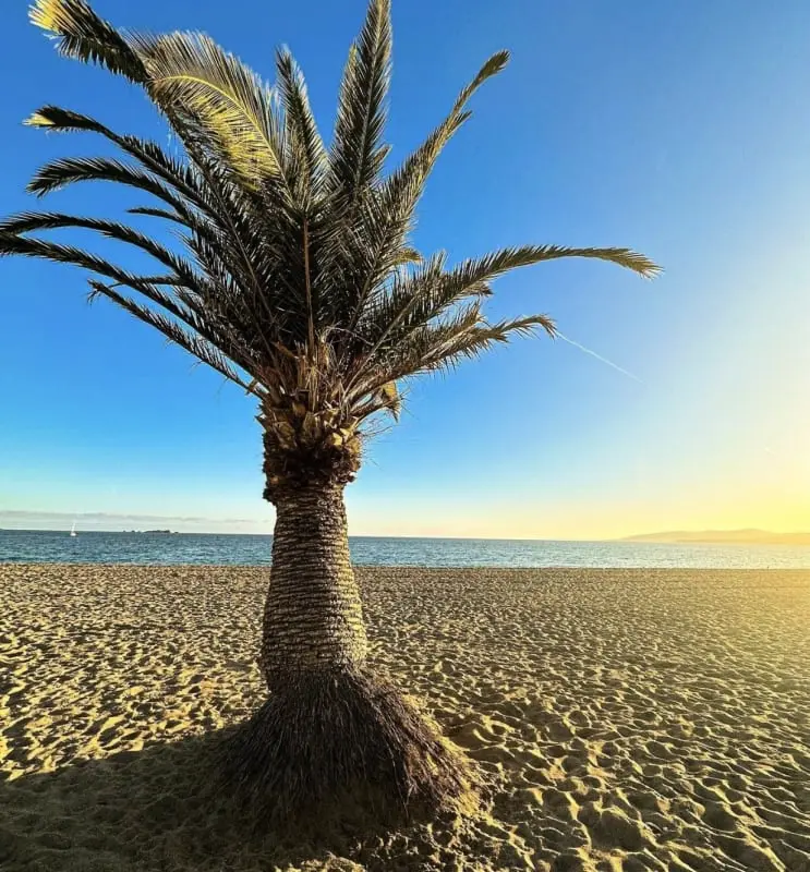 Appartement 4pers - Accès Direct à La Plage/ Fréjus