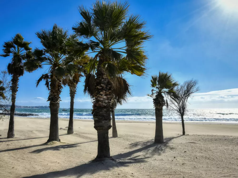 Résidence Le Lagon Bleu