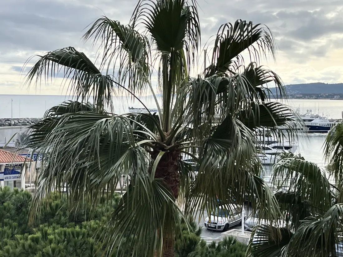 Studio à Fréjus - Port Fréjus
