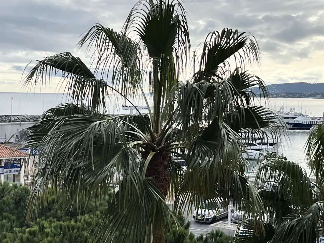 Studio à Fréjus - Port Fréjus