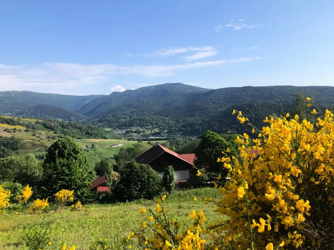 Location de Vacances Fresse-sur-Moselle 9