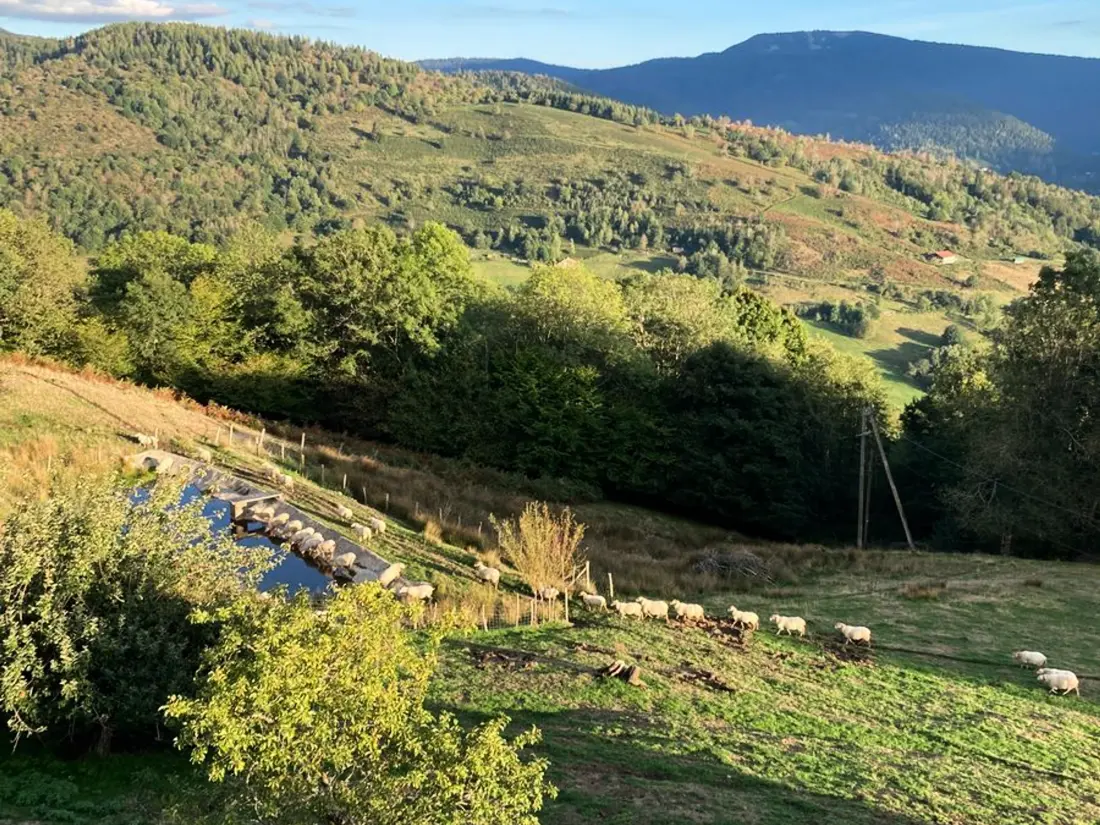 Location de Vacances Fresse-sur-Moselle 9