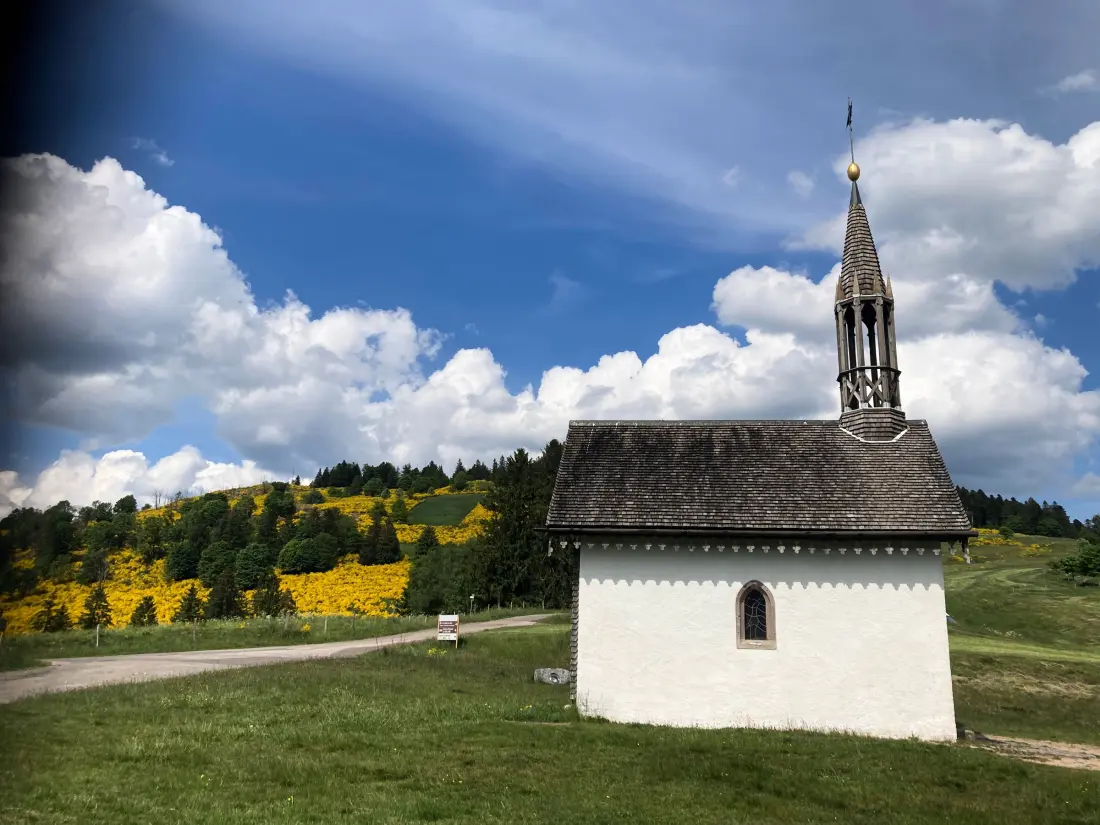 Location de Vacances Fresse-sur-Moselle 9