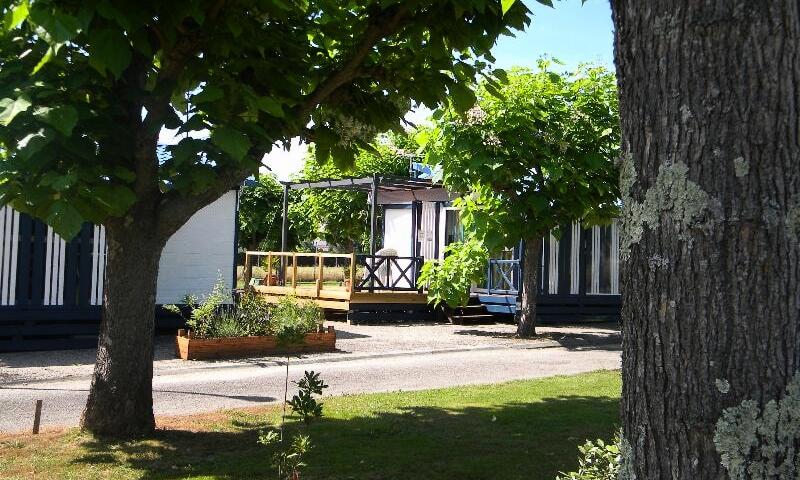 Camping Les Catalpas *** - Fumel - 8