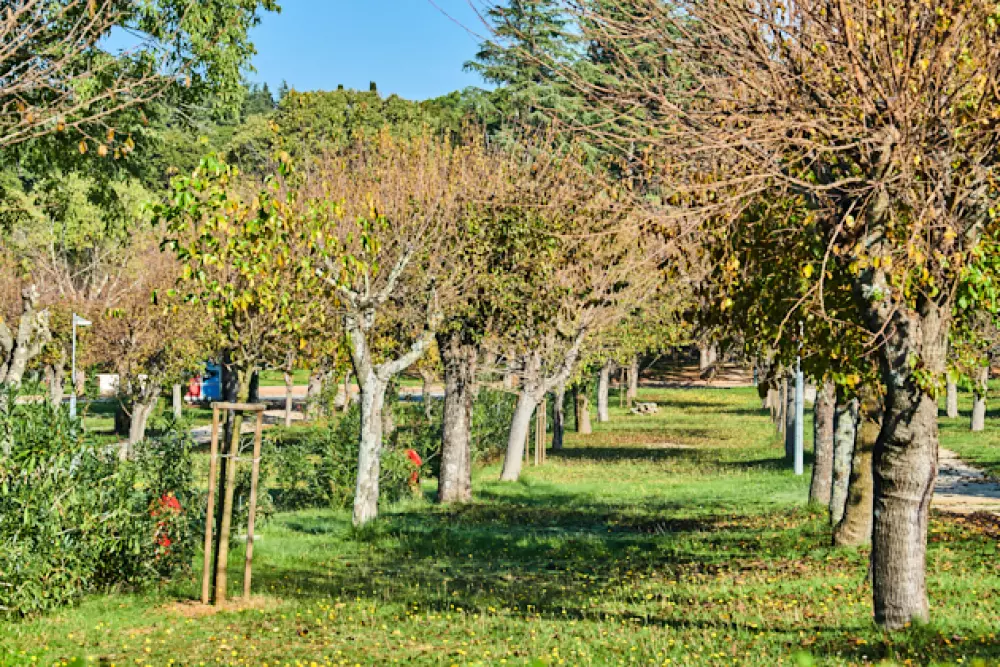 Camping Zelena Laguna4 étoiles★★★★