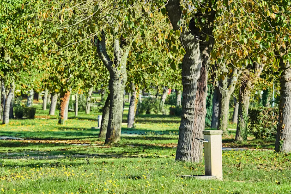 Camping Zelena Laguna4 étoiles★★★★