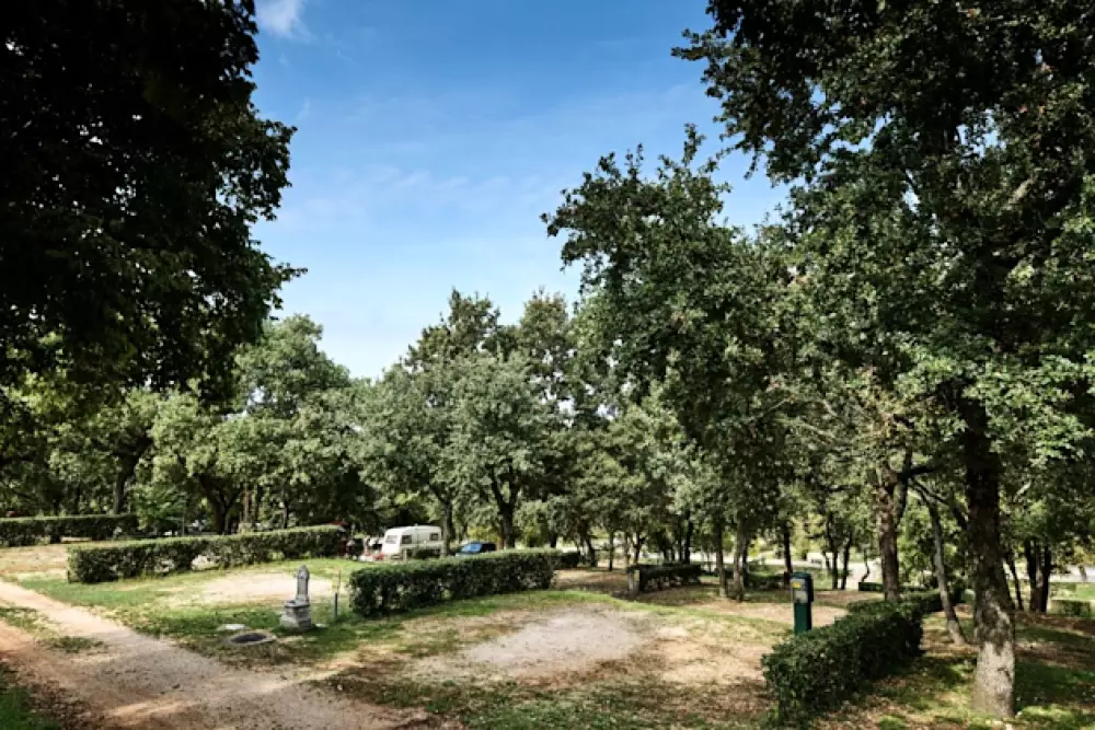 Camping Zelena Laguna4 étoiles★★★★