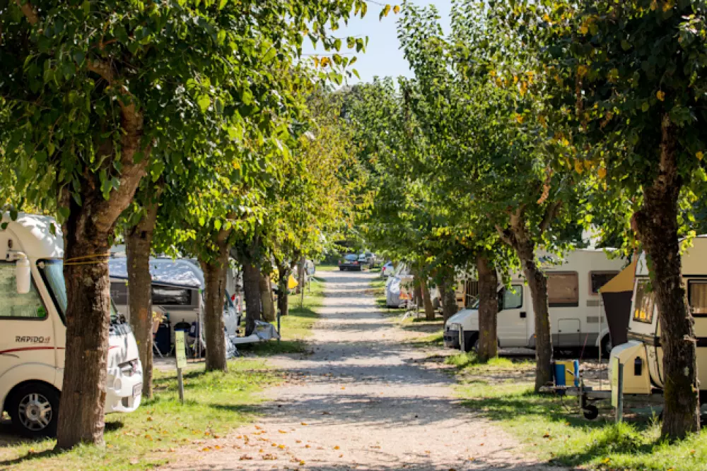 Camping Zelena Laguna4 étoiles★★★★