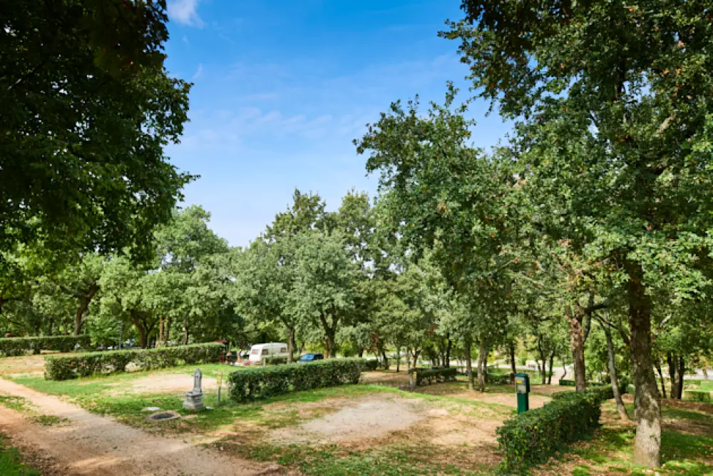 Camping Zelena Laguna4 étoiles★★★★